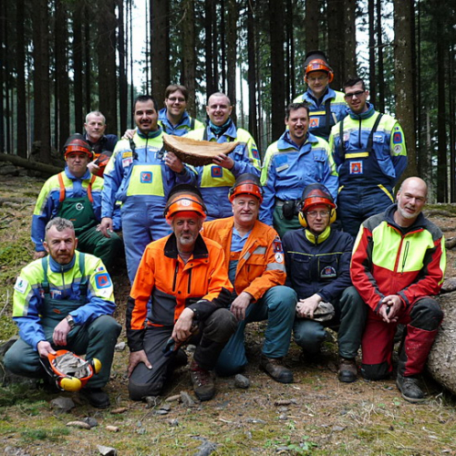 1™ Sessione Corso Motosega 2014 n. 3 / 107723