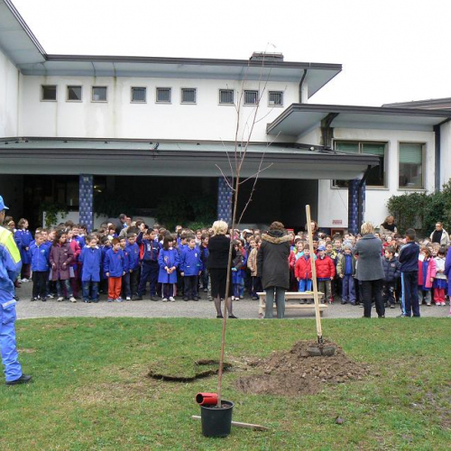 Festa degli alberi a San Giorgio della Richilvelda 1 / 32414