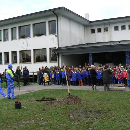Festa degli alberi a San Giorgio della Richilvelda 2 / 32415