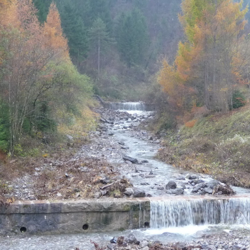 Attivit‡ prevenzione del 10/11 n. 25 / 88062