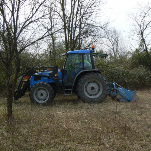 Attivit‡ addestrativa 15/03 n. 6 / 36000