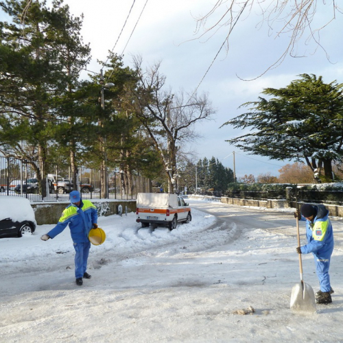Interventi emergenza neve del 08/12/12 n. 8 / 89516