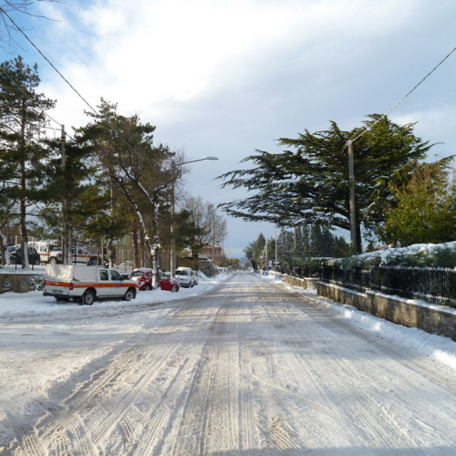 Interventi emergenza neve del 08/12/12 n. 9 / 89517