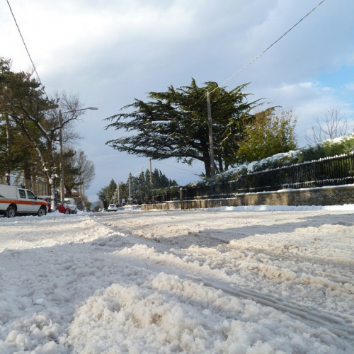 Interventi emergenza neve del 08/12/12 n. 10 / 89518