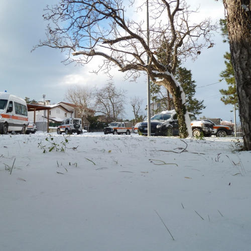 Interventi emergenza neve del 08/12/12 n. 11 / 89519