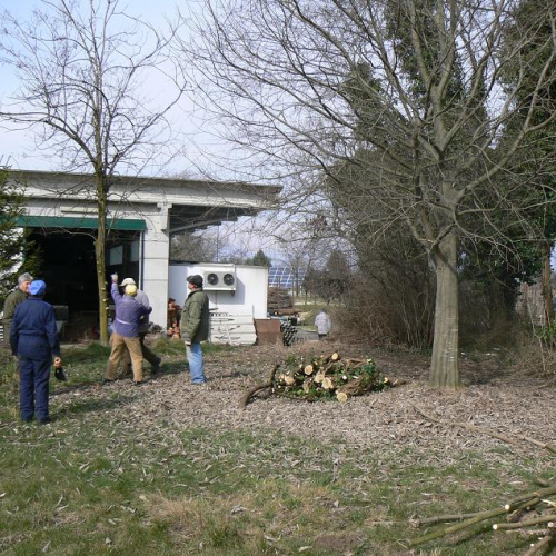 Addestramento 06/03 n. 5 / 49444