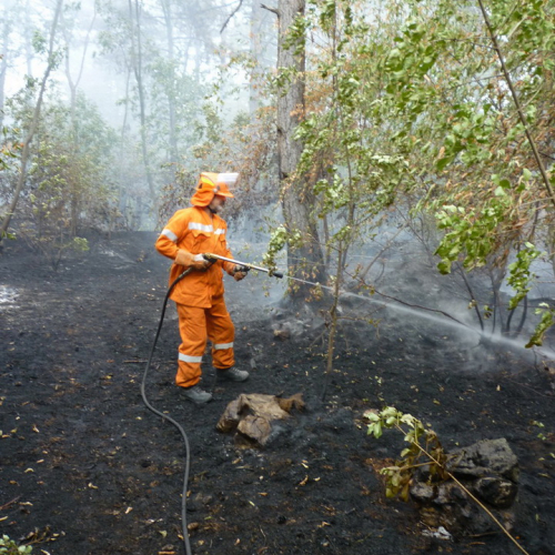 Incendio a Sgonico n. 5 / 84972