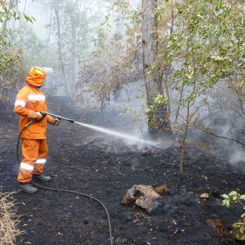 Incendio a Sgonico n. 6 / 84973