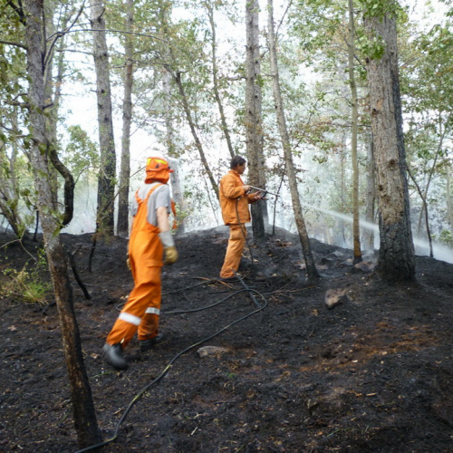Incendio a Sgonico n. 8 / 84975