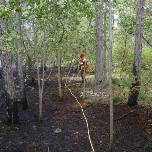 Incendio a Sgonico n. 10 / 84977