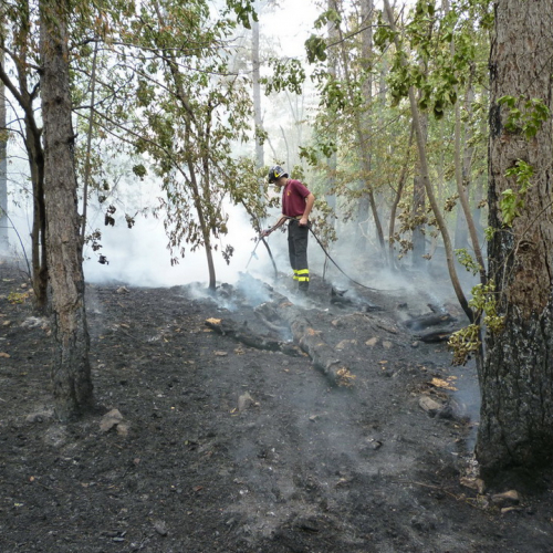 Incendio a Sgonico n. 13 / 84980