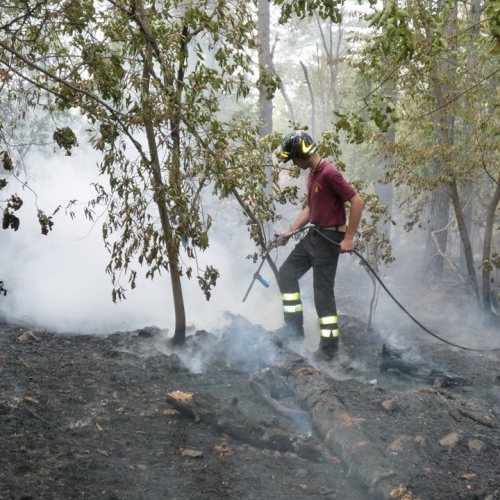 Incendio a Sgonico n. 14 / 84981
