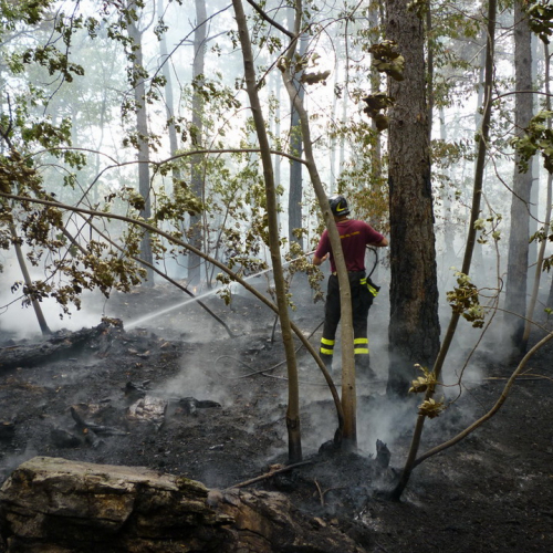 Incendio a Sgonico n. 15 / 84982