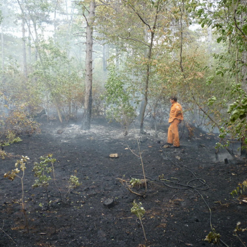Incendio a Sgonico n. 16 / 84983