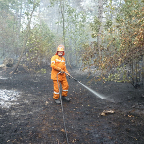 Incendio a Sgonico n. 17 / 84984
