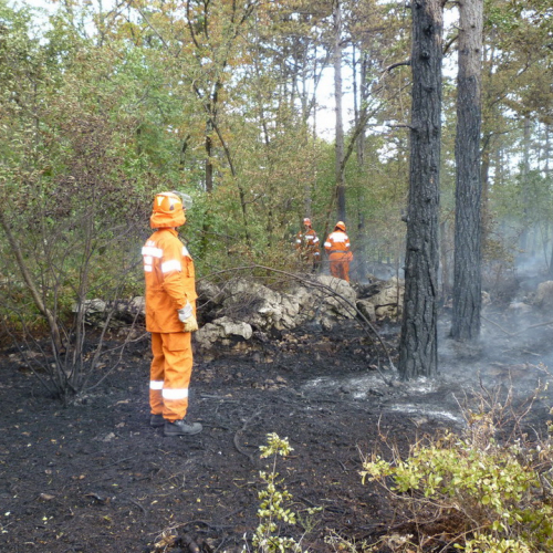 Incendio a Sgonico n. 19 / 84986