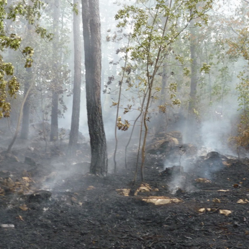 Incendio a Sgonico n. 21 / 84988