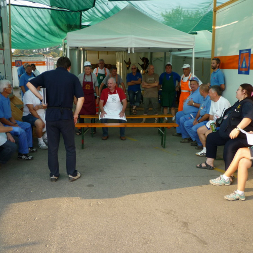 Campo Friuli di Mirandola n. 13 / 85328