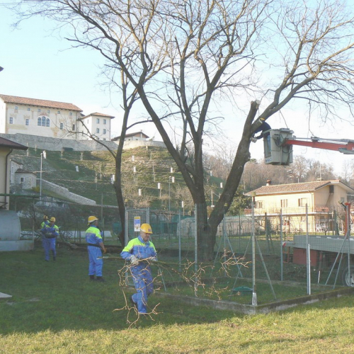 Attivit‡ addestrativa 15/01/11 n. 1 / 60179