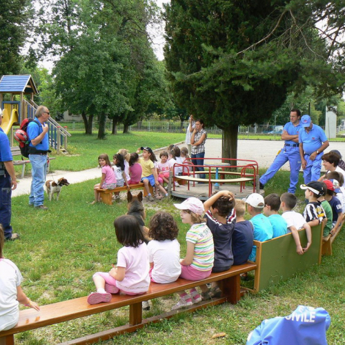Attivit‡ con le scuole 17/06/11 n. 5 / 67215