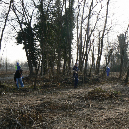 Attivit‡ prevenzione del 25/02/12 n. 2 / 75936