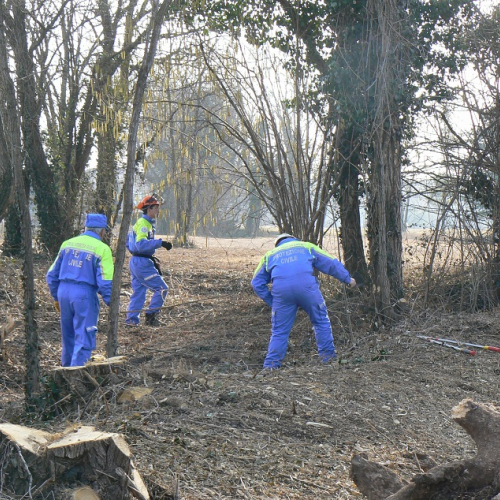 Attivit‡ prevenzione del 25/02/12 n. 3 / 75937