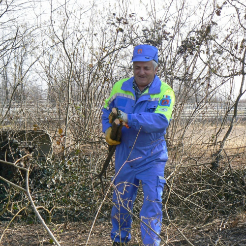 Attivit‡ prevenzione del 25/02/12 n. 5 / 75939