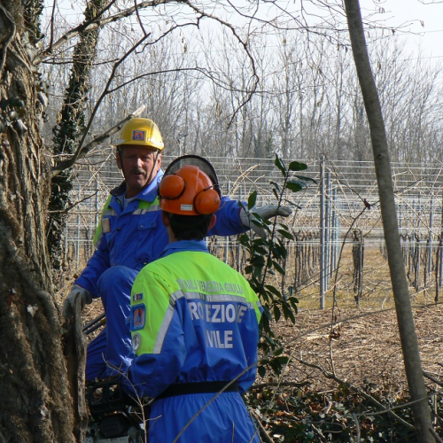 Attivit‡ prevenzione del 25/02/12 n. 6 / 75940