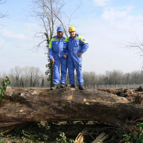 Attivit‡ prevenzione del 25/02/12 n. 7 / 75941