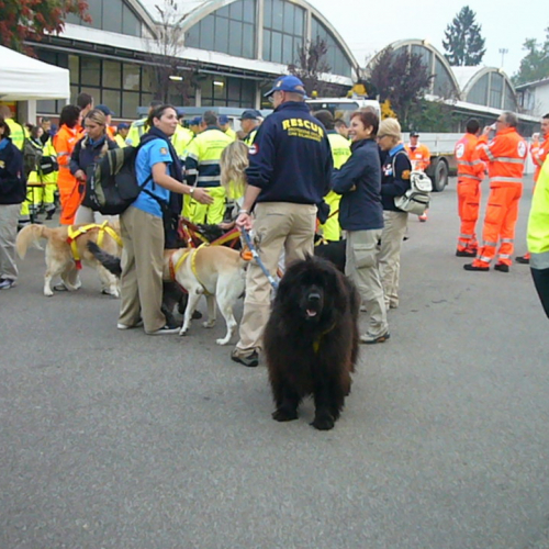 Celebrazione Padre Pio a Milano n. 7 / 29817