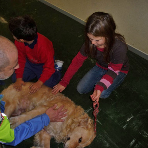 Attivit‡ dimostrativa a Cattinara n. 2 / 89032