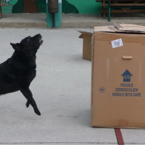 Attivit‡ dimostrativa a Cattinara n. 10 / 89040