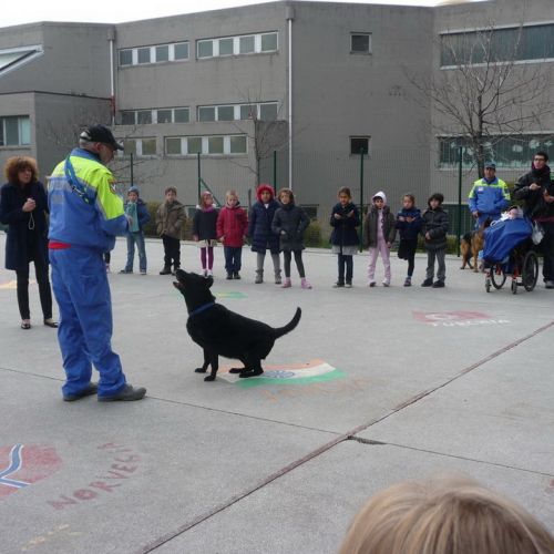 Attivit‡ dimostrativa a Cattinara n. 14 / 89044