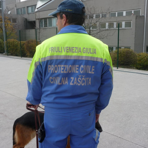 Attivit‡ dimostrativa a Cattinara n. 15 / 89045