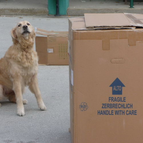 Attivit‡ dimostrativa a Cattinara n. 16 / 89046