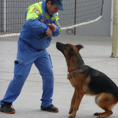 Attivit‡ dimostrativa a Cattinara n. 20 / 89050