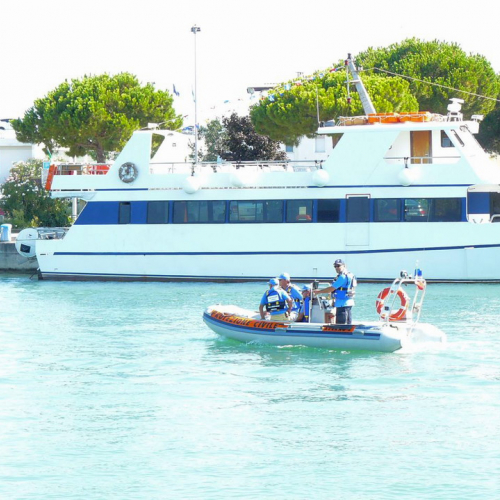 Addestramento 22/08/10 n. 12 / 55556