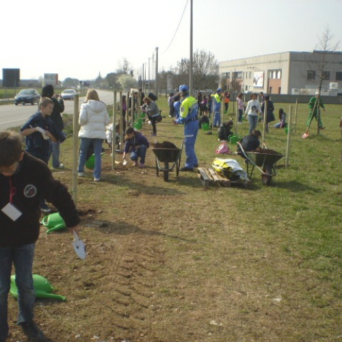 Attivit‡ con scuole a Roveredo in Piano n. 5 / 62926