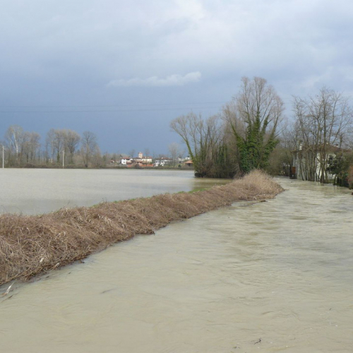 Piena del Sile 16/03/11 n. 1 / 61787