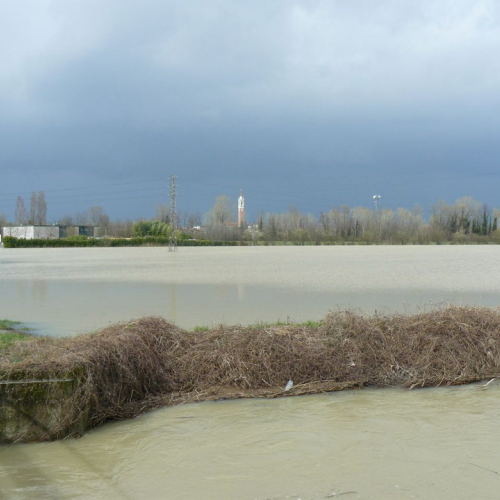 Piena del Sile 16/03/11 n. 2 / 61788