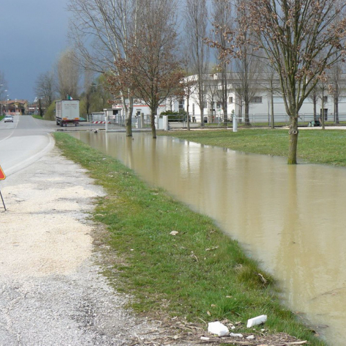 Piena del Sile 16/03/11 n. 3 / 61789