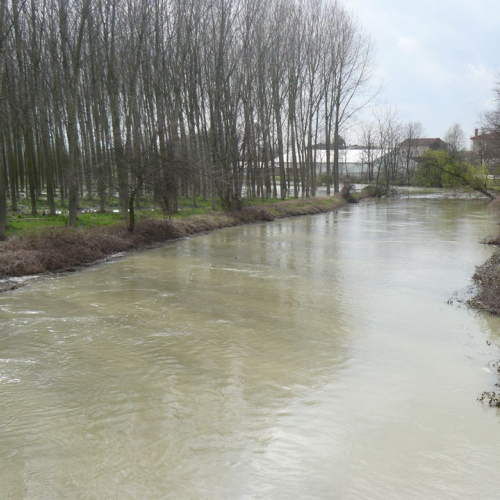 Piena del Sile 16/03/11 n. 4 / 61790
