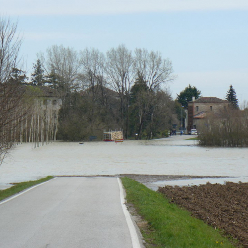 Piena del Sile 16/03/11 n. 5 / 61791