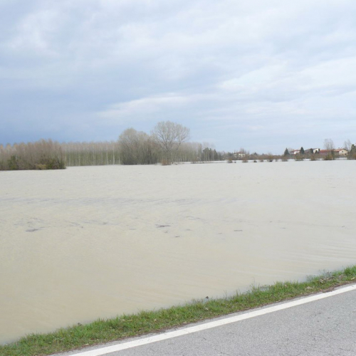Piena del Sile 16/03/11 n. 6 / 61792