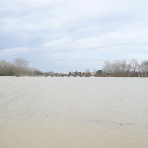 Piena del Sile 16/03/11 n. 7 / 61793