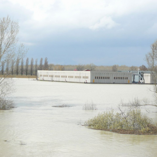 Piena del Sile 16/03/11 n. 8 / 61794