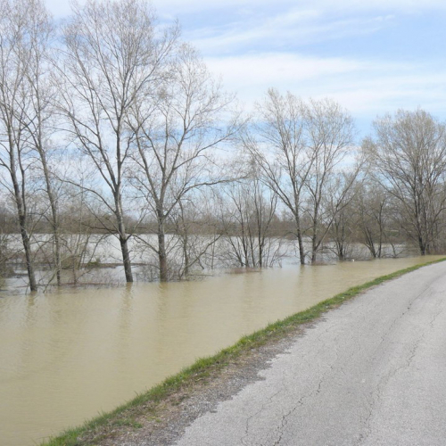 Piena del Sile 16/03/11 n. 9 / 61795