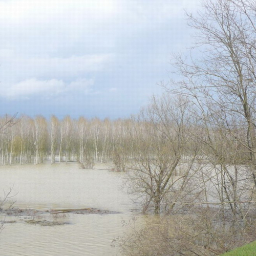 Piena del Sile 16/03/11 n. 10 / 61796
