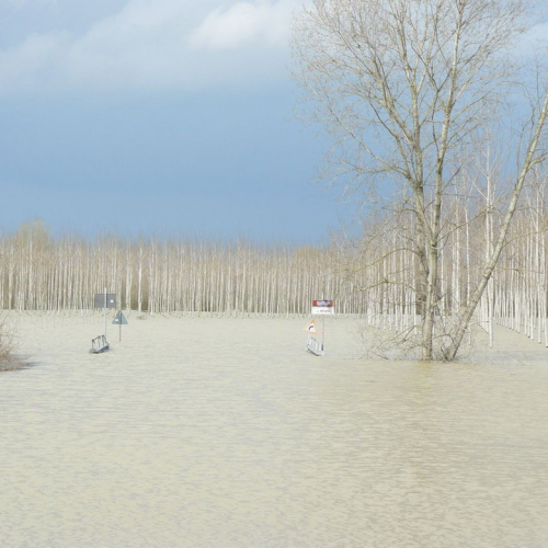 Piena del Sile 16/03/11 n. 12 / 61798