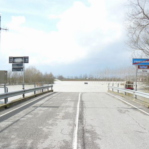 Piena del Sile 16/03/11 n. 13 / 61799